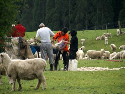 New Zealand