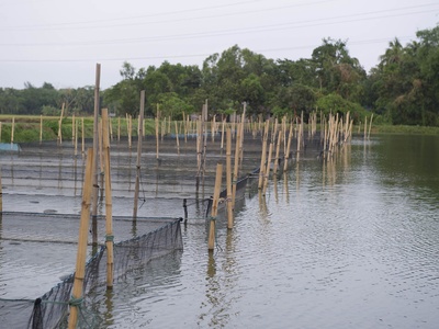 Noakhali