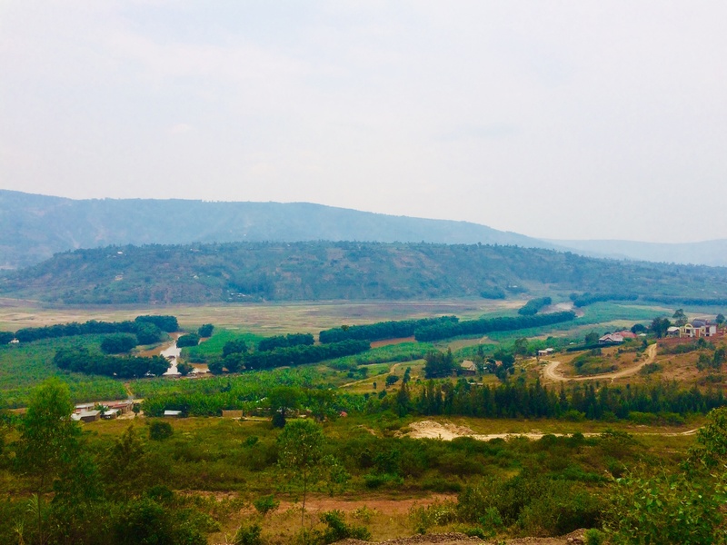 Nyabarongo