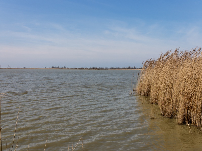 Oostvaardersplassen
