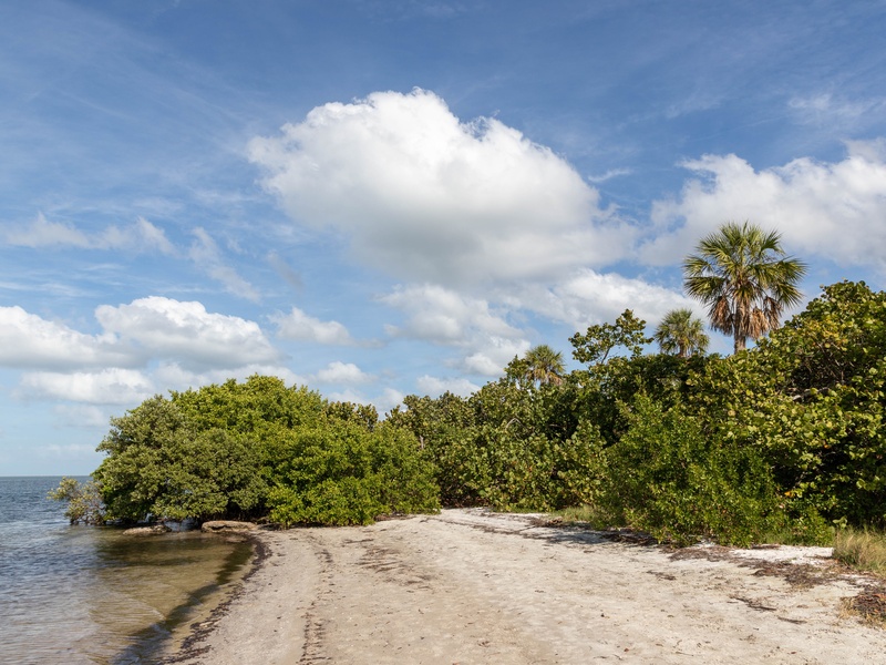 Palmetto Point