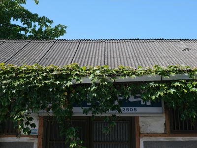 Puketiti Station Homestead