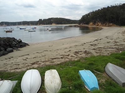 Quarantine Bay