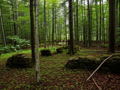 Riceville