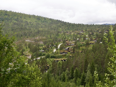 Rondanina