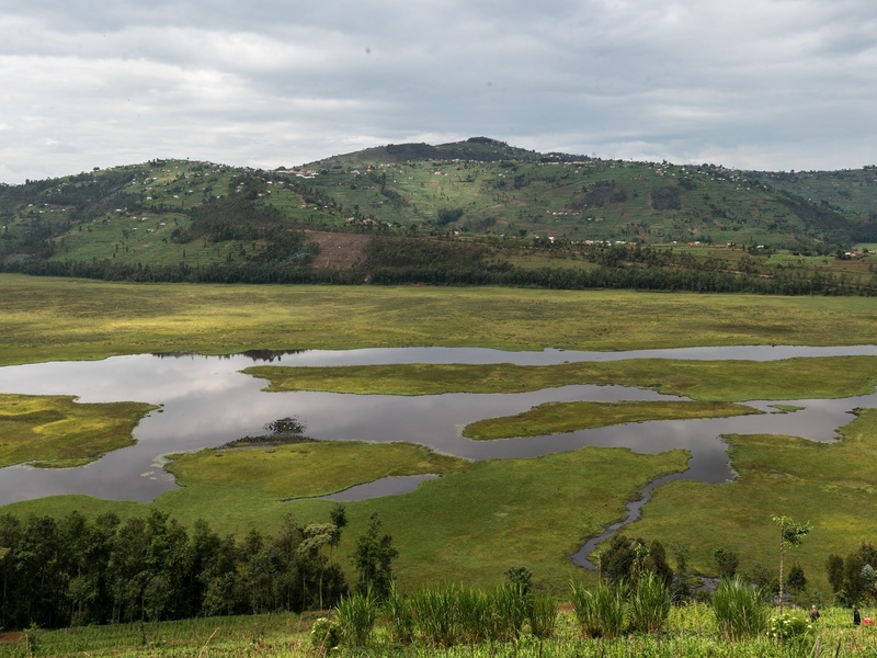 Rugezi
