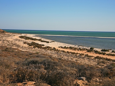 Shark Bay