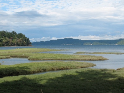 Shoalwater Bay
