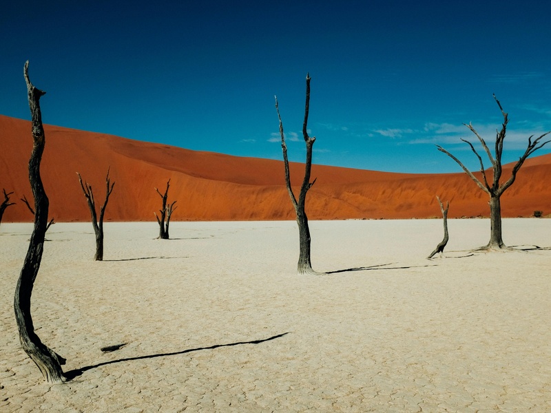 Sossusvlei