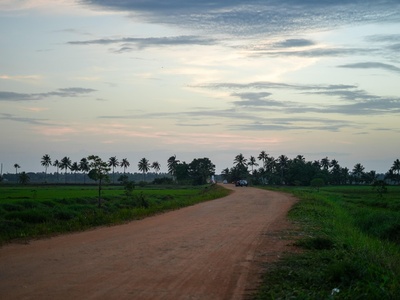 Southern Afar