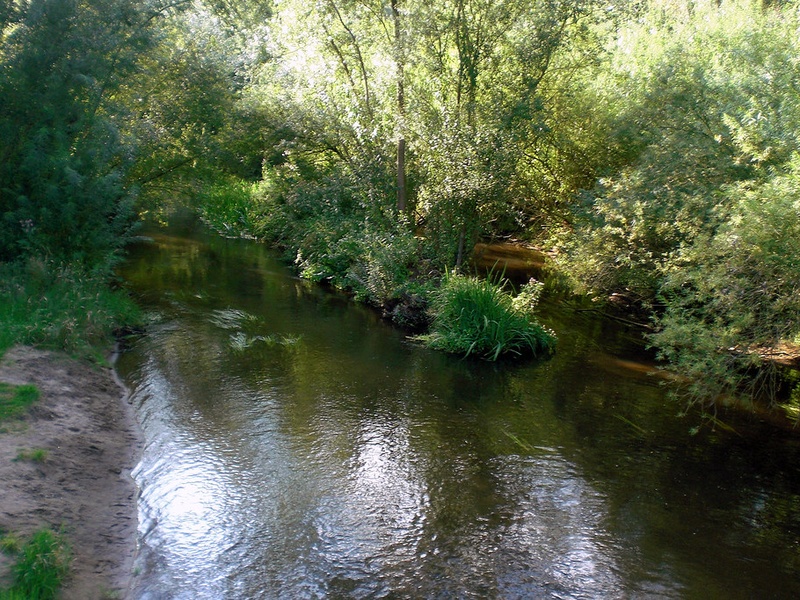 Stepenitz (Elbe)