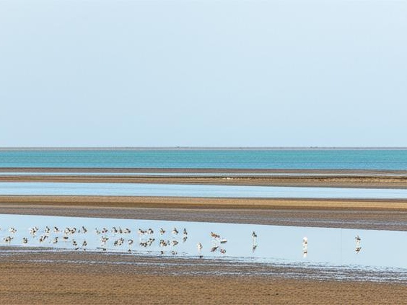 Sulaibikhat Bay