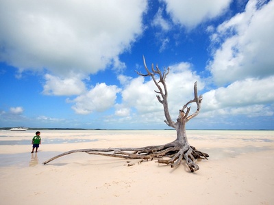 The Bahamas