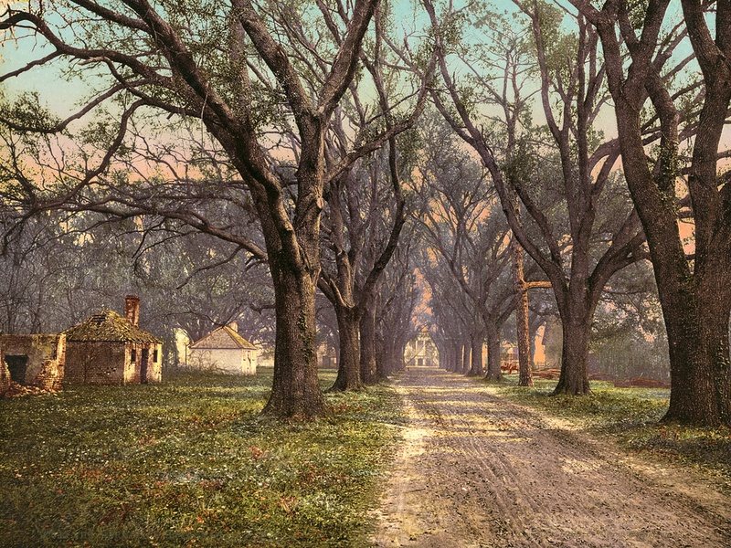 The Hermitage Plantation