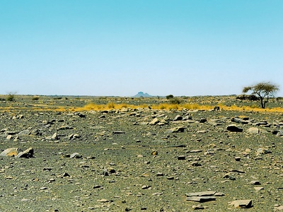 Tuareg