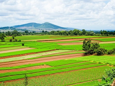 Uganda