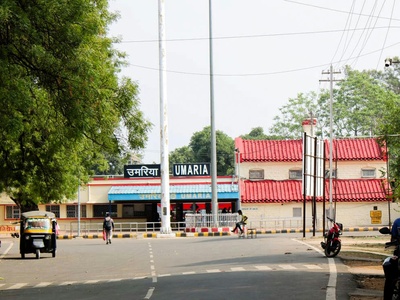 Umaria