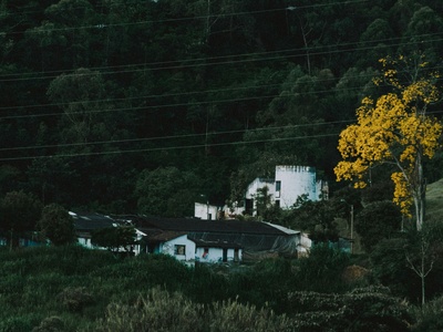 Vangunu