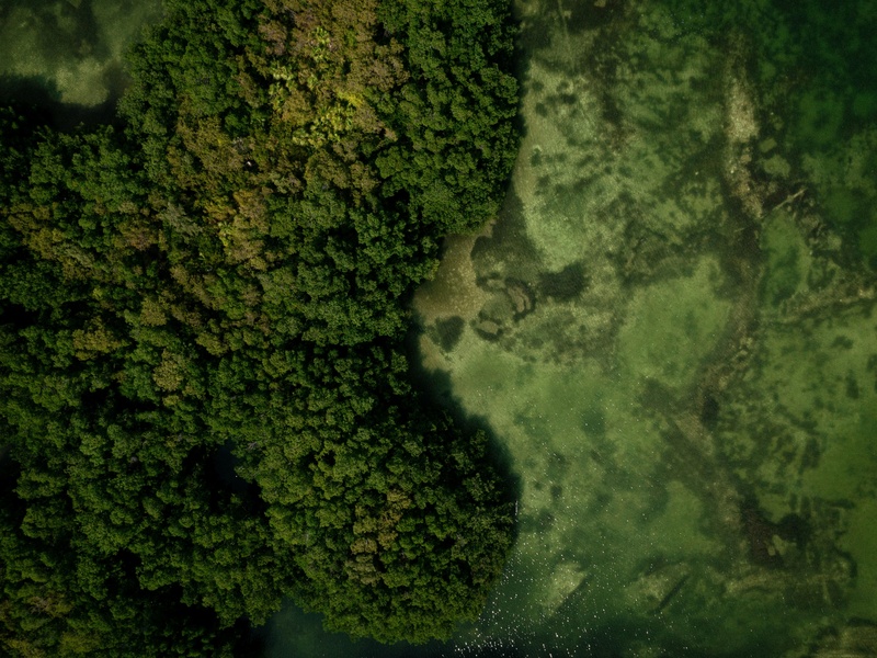 Verde Lagoon