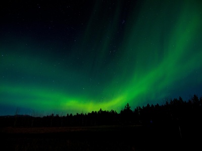 Whitehorse