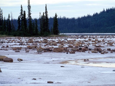 Wood Buffalo