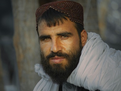 Afghans