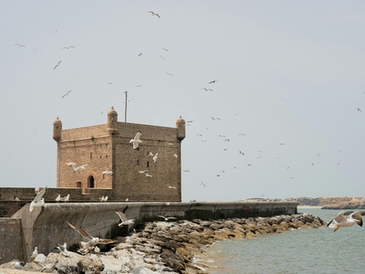 Al-Muwailih Fort