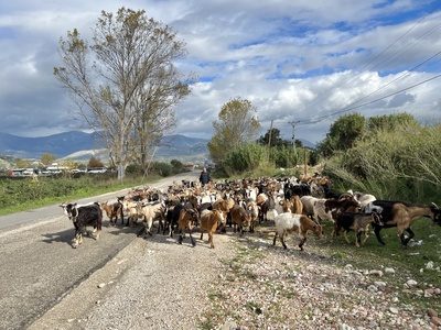 Albania