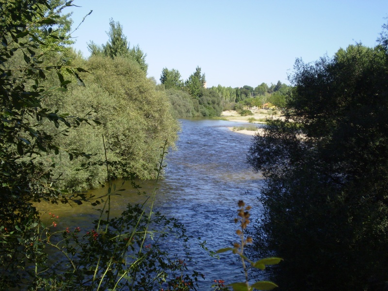 Alberche