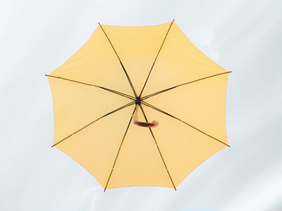 Alemannisch (Alemannic, umbrella)