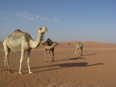 Algeria