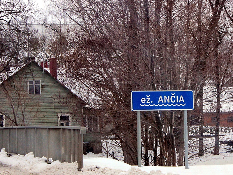 Ančia