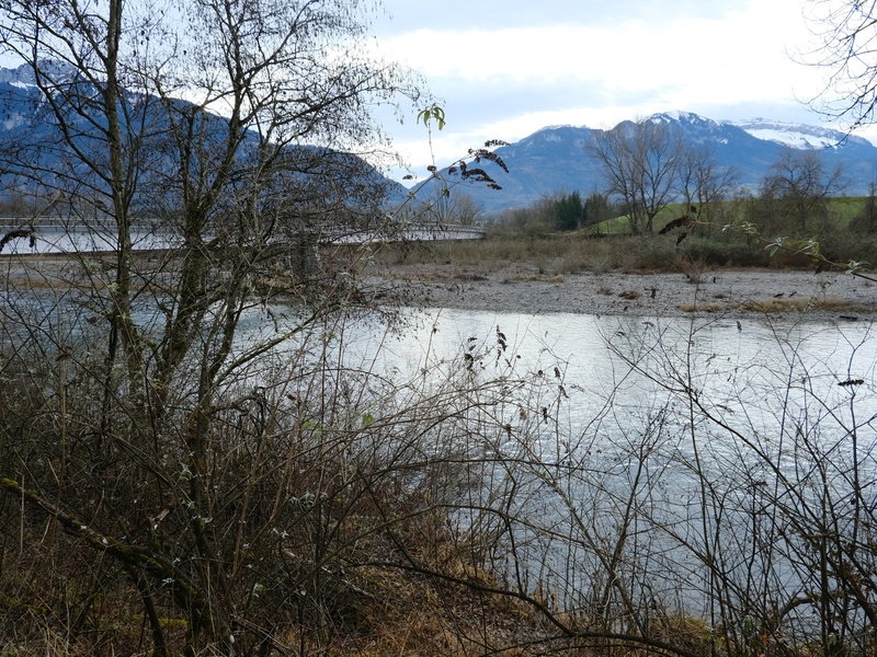 Arve