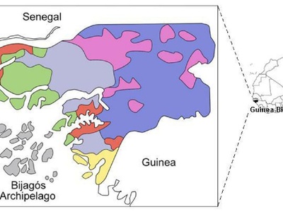 Balanta-Ganja