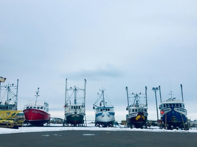 Bay Roberts
