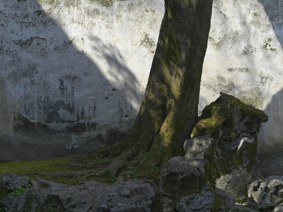 Bel Ombre Pirate Ruins