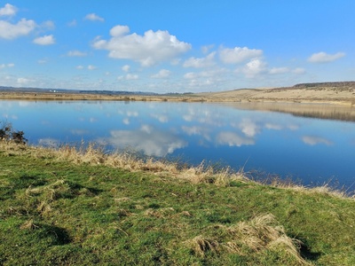 Bower Lake