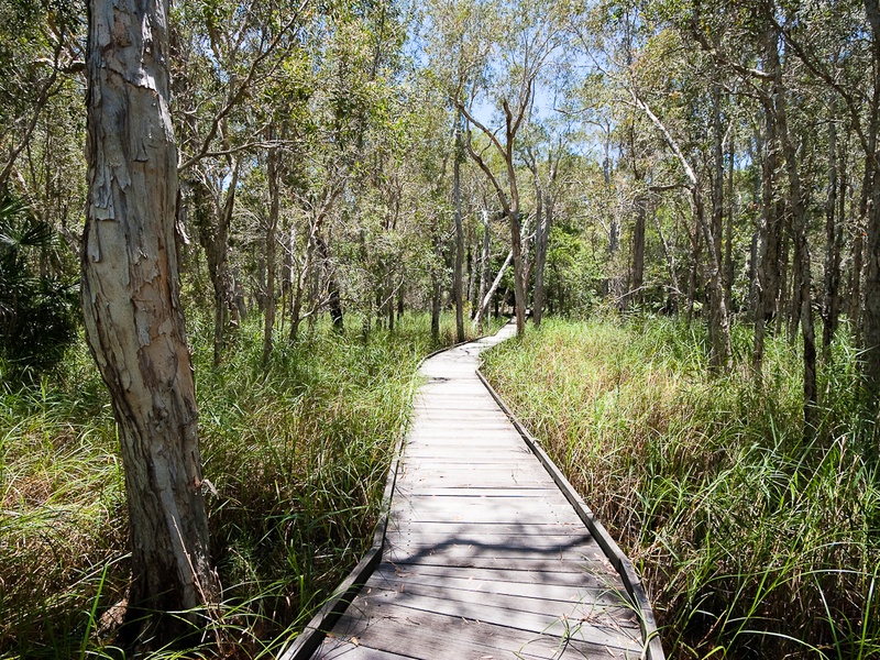 Burrum Coast