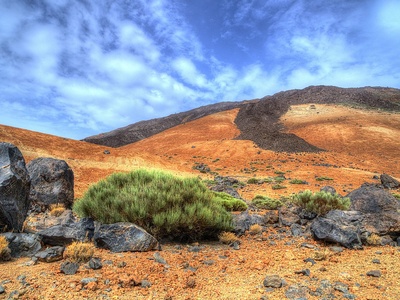 Canary Islands