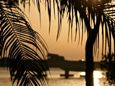 Cape Coral