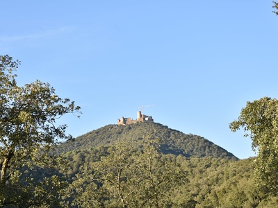 Castillo de Montsoriu