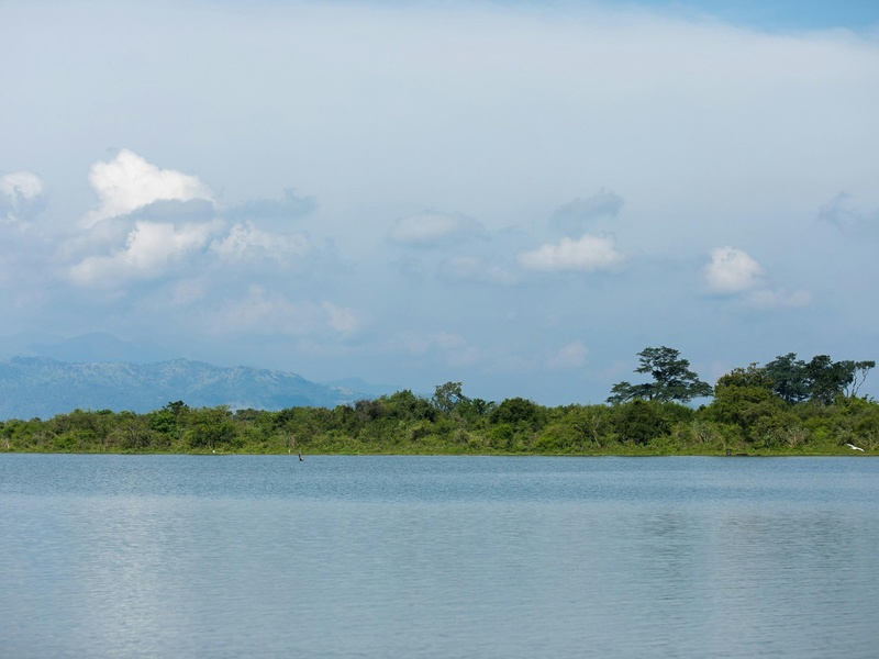 Congo Lagoon