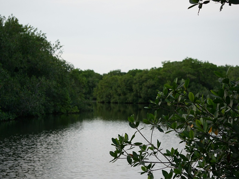 Copey Lagoon
