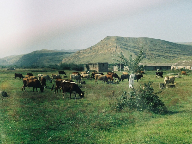 Dadanawa Ranch