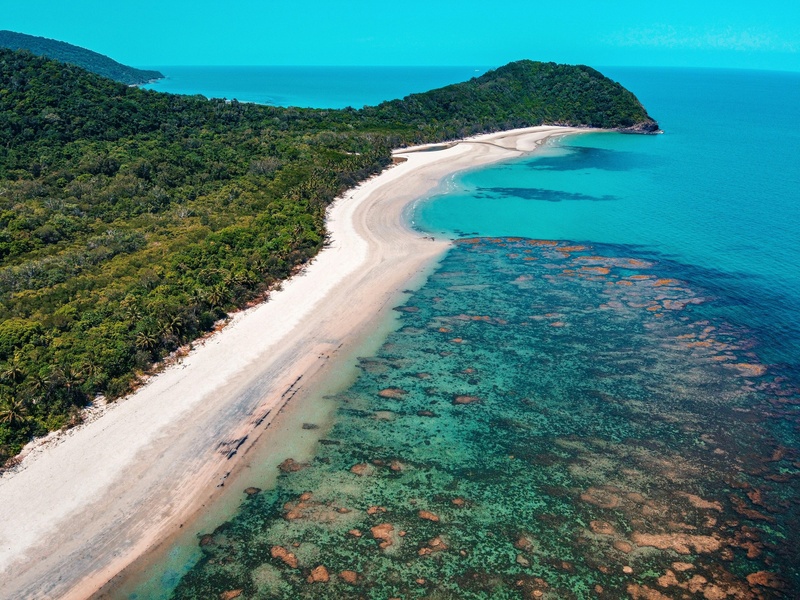 Daintree
