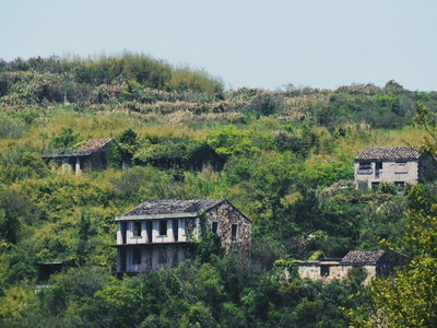 Dauban Plantation Ruins
