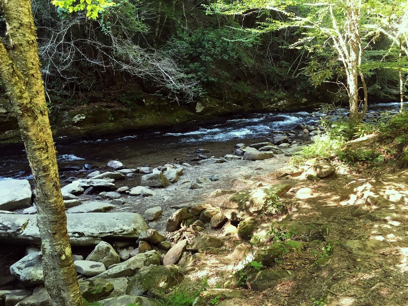 Davies Creek