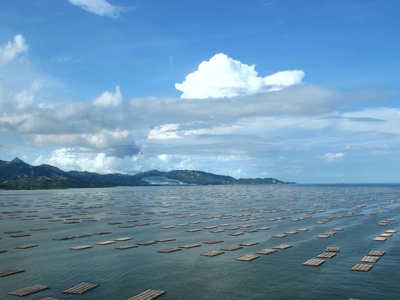 Deep Bay