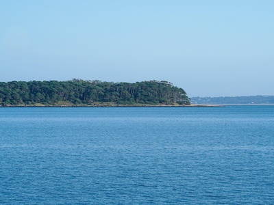 Dickinson Bay