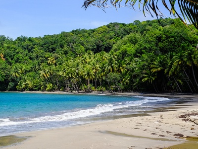 Dominica